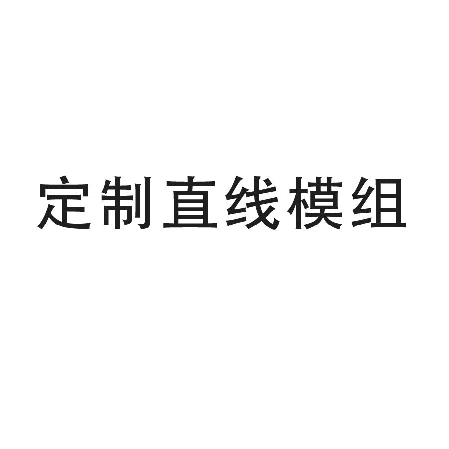 定制直线模组-按需定制